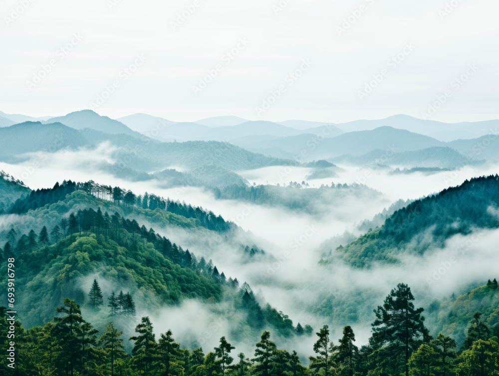 Poster verdant mountain peaks rising above the soft fog in a tranquil nature scene. generative ai
