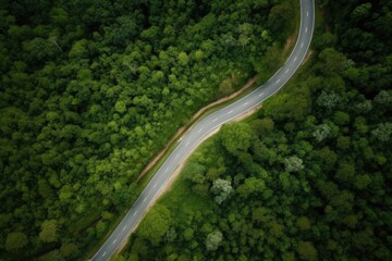 Aerial view road in middle of the forest. Winding road in the forest. Ecosystem ecology healthy environment road trip travel.
