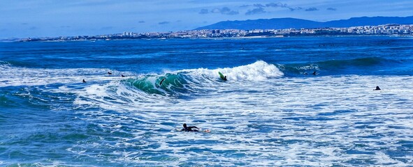 landscape of sea and waves
