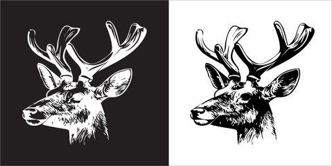 Illustration vector graphics of head deer icon