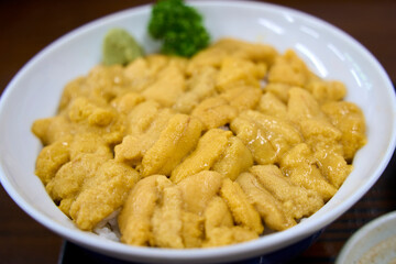sea urchin donbri