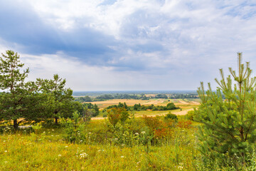 Rural scenery, view of meadows, farmlands, hills, forest, clumps of bushes