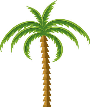 palm trees element svg