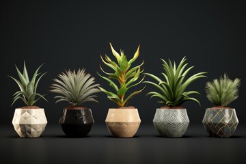Various types of plants arranged in vases. Suitable for interior decoration or botanical themes