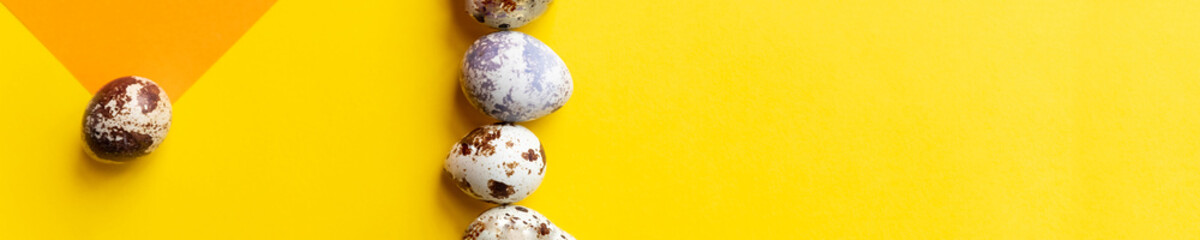 Creative layout with Fresh organic quail egg on bright yellow background. Quail eggs pattern. Happy easter concept. Minimal design. Copy space, flat lay, from above
