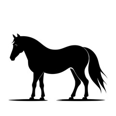 horse silhouette isolated on white