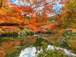 A Temple with Maple Leaves in Kyoto