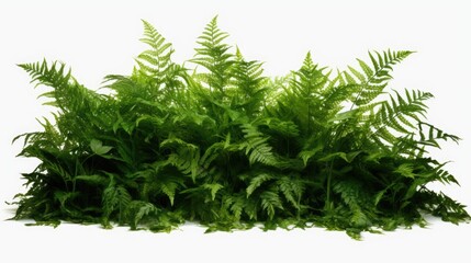 A bunch of green plants sitting on top of a white surface. Can be used to add a touch of nature and freshness to any project