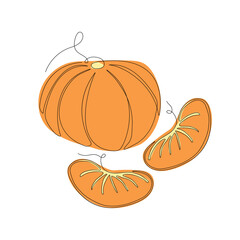 Tangerine in continuous line art drawing style. Tangerine minimalist black linear sketch with colored spots isolated on white background. Vector illustration