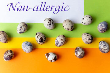 Creative quail egg layout on colorful background. Quail eggs pattern. Happy easter concept. Minimal design. flat lay, eggs pattern. Springtime Banner with text non allergic