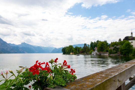 Flowers on the background of Lake Traunsee in Gmunden, Austria
