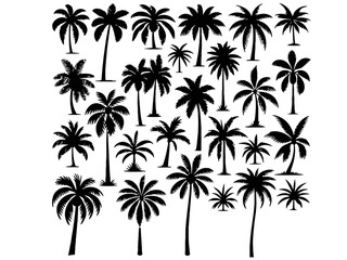 Fototapeta na wymiar Tropical Oasis: Diverse Palm Tree Silhouette Collection Generative AI