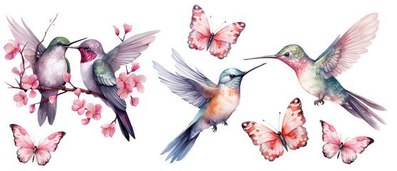 Watercolor hummingbirds and butterflies Valentines day romantic illustration