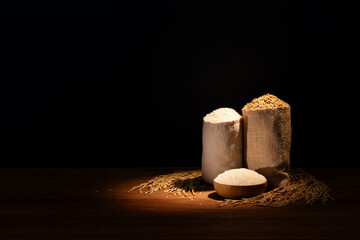 Rice and paddy on teak tabletop. Creative combination of rice and rice ears.