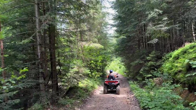 A man rides an ATV on a dirt road in the middle of a forest on a mountain range. Natural sports background, natural activity background.