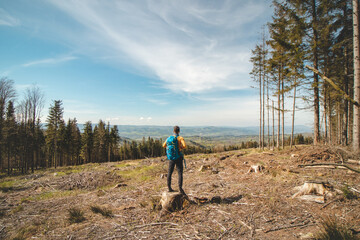 Adventurer and traveller with blue backpack standing on a stump in Beskydy mountains, Czech...
