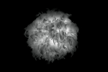 feathers backlit by white light on a black background to almost look like the sun with its solar flares