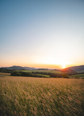 Grain field at sunset with blue sky in Beskydy mountains, Czech Republic