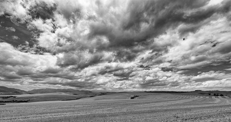 A view over stubbly grain fields with a cloudy sky and rolling hills in the Western Cape, South...