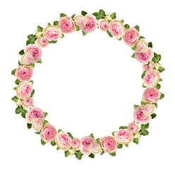 Fototapeta na wymiar Small pink rose flowers in a floral round frame isolated on white or transparent background