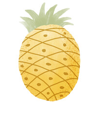 Hand drawn illustration of cute pineapple with green leaves.