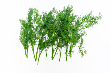Sprigs of green fragrant fresh dill on white background isolated. Greens for health. Aromatherapy.