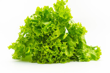 Bunch of fresh green salad. White background, isolated. Healthy plant-based nutrition.