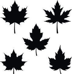 Set of Maple Leaf Silhouettes Vector Icon Illustration.