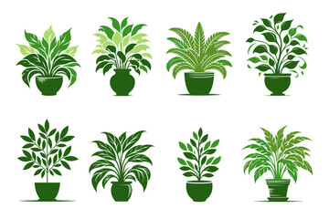 Collection of green houseplants