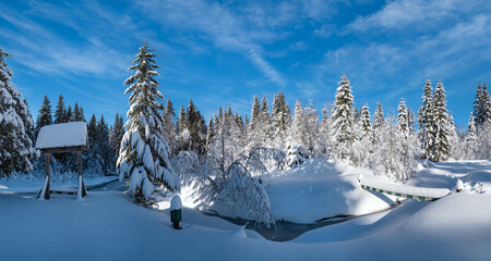 Alpine mountain snowy winter fir forest with snowdrifts and frozen small stream