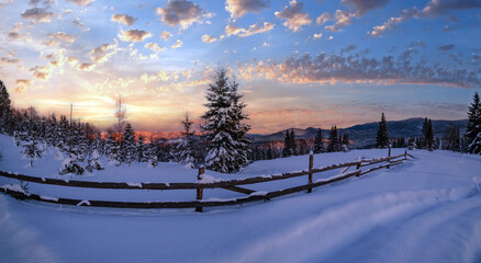 Winter snowy hills, tracks on rural dirt road and trees in last evening sunset sun light. Small and quiet alpine village outskirts. - obrazy, fototapety, plakaty