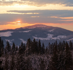 Winter sunset alpine top  view from mountain village and fir forest in front. Picturesque seasonal, nature and countryside beauty concept scene.