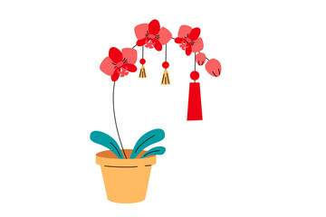 Red orchid with Chinese Lunar new Year decoration. Domestic plant with flowers vector flat graphic. Indoor Flower in pot isolated on white background.