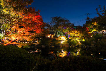 東京都豊島区 目白庭園 紅葉のライトアップ