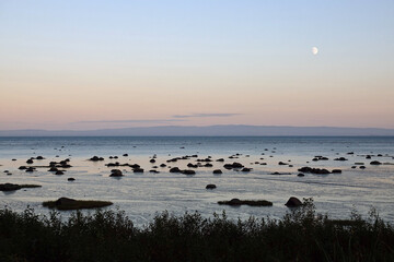 Randonnée dans le Parc National des Grands-Jardins au Canada et rencontre avec sa flore