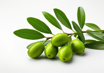 Olive branch, Banner with green leaves, AI generated