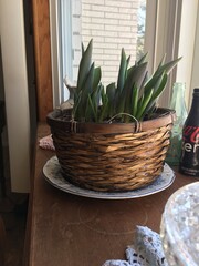 Basket of Easter 