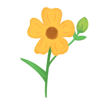 yellow flower cartoon