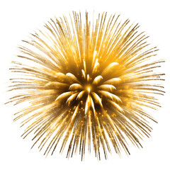 Gold fireworks explosion.