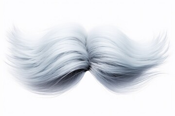 Close-up view of a moustache against a plain white background. Suitable for various purposes