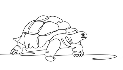 Turtle. Stand. Go. One line