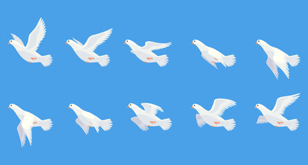 Pigeon animation. Bird motion wings in heaven. Flying migratory pigeon, cartoon  illustration. Bird dove animation element. White pigeon flight sequences