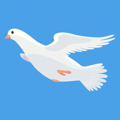 Pigeon animation. Bird motion wings in heaven. Flying migratory pigeon, cartoon  illustration. Bird dove animation element