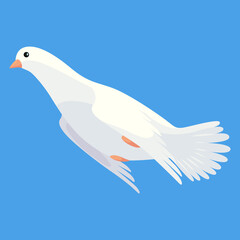 Pigeon animation. Bird motion wings in heaven. Flying migratory pigeon, cartoon  illustration. Bird dove animation element