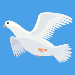 Pigeon animation. Bird motion wings in heaven. Flying migratory pigeon, cartoon  illustration. Bird dove animation element