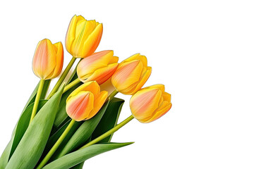 Fototapeta premium bouquet of yellow tulips isolated transparent background