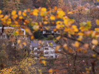 Blick durch Baumkrone Herbst Blätter auf Häuser