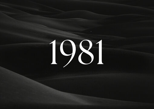 Vintage 1981 birthday, Made in 1981 Limited Edition, born in 1981 birthday design. 3d rendering flip board year 1981.