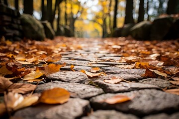 Winter Fog in Nature 