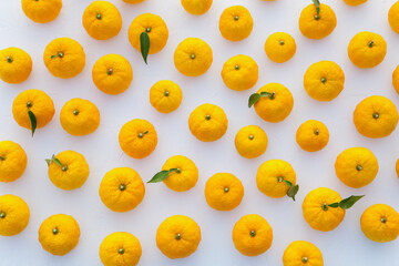 葉のついた柚子の集合